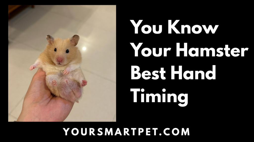 You Know Your Hamster Best Hand Timing