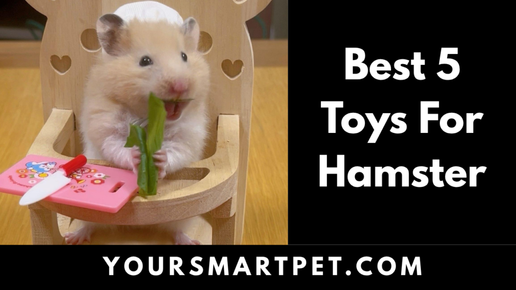 Best 5 Toys For Hmaster
