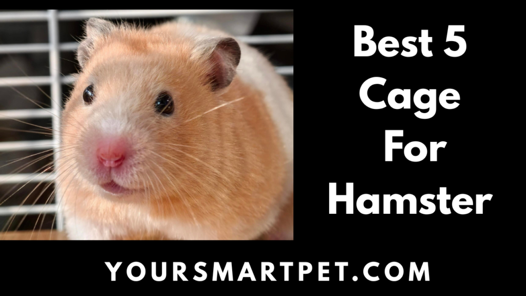 Best 5 Cage For Hamster